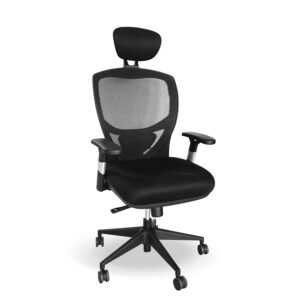 Ergonomic Chair